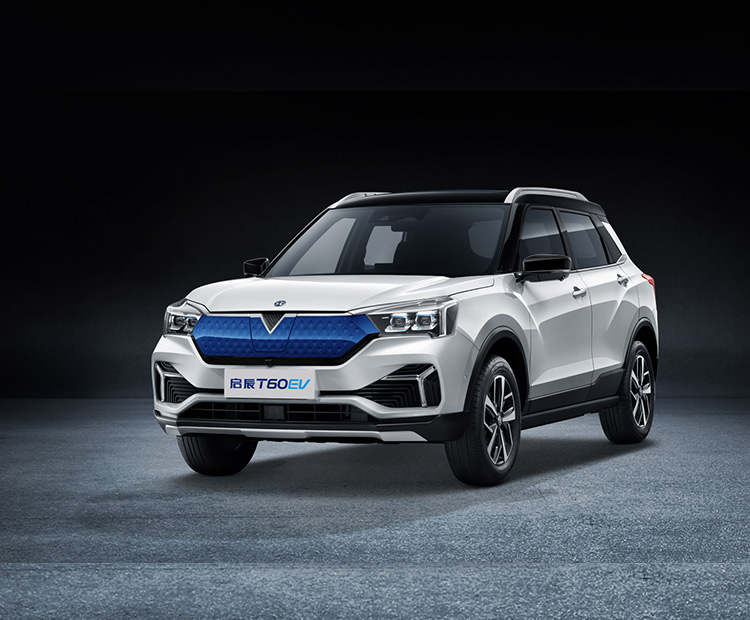 啟辰T60 EV-2020款 AI尊享型