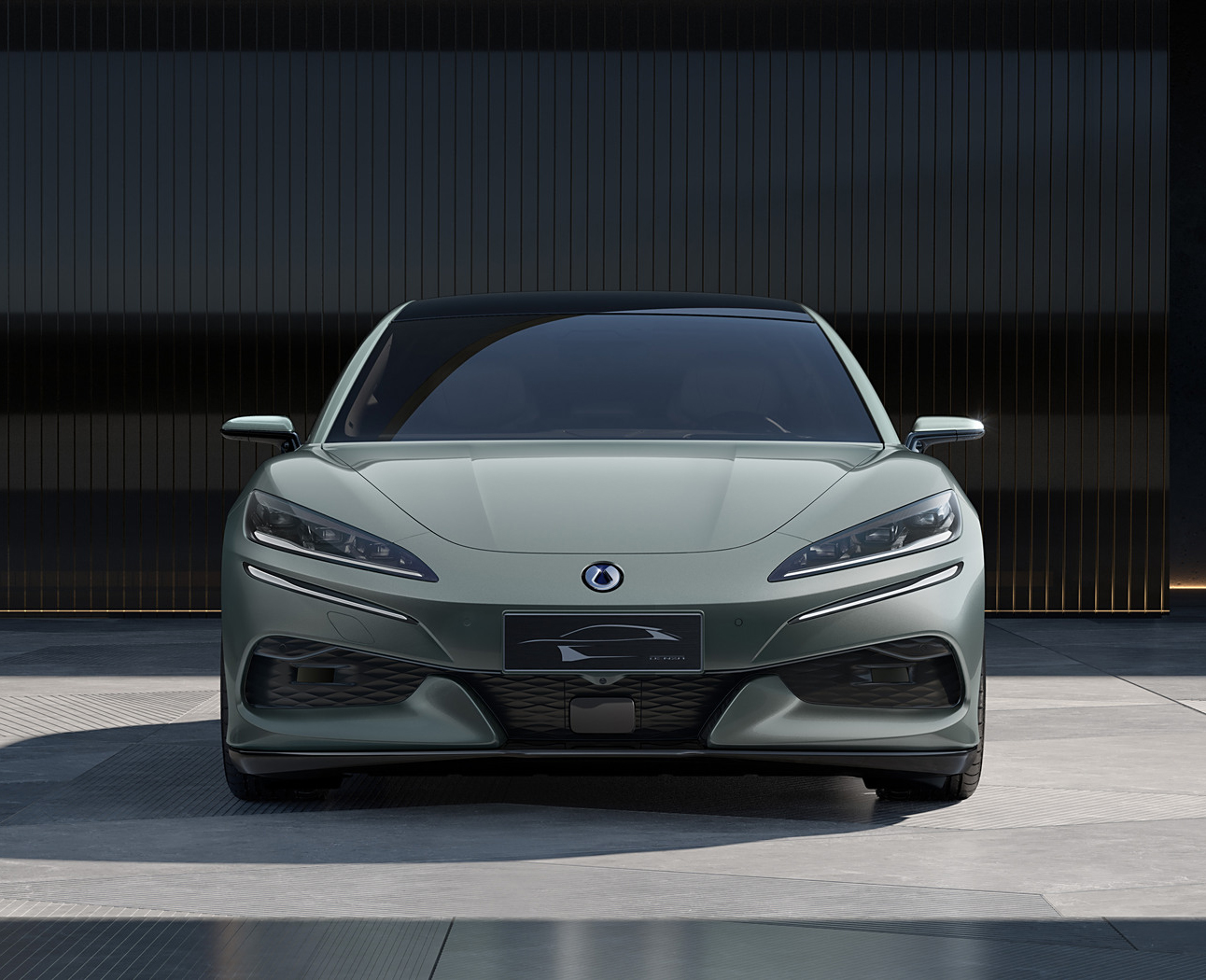 騰勢-騰勢Z9GT