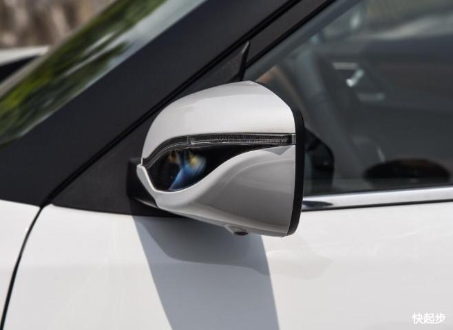 眾泰-T300EV