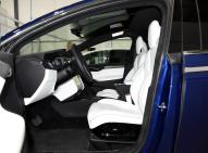 特斯拉特斯拉Model X