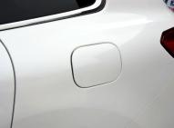野馬野馬EC70