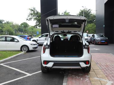 領(lǐng)克-領(lǐng)克01 PHEV