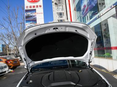 比亞迪比亞迪秦Pro EV