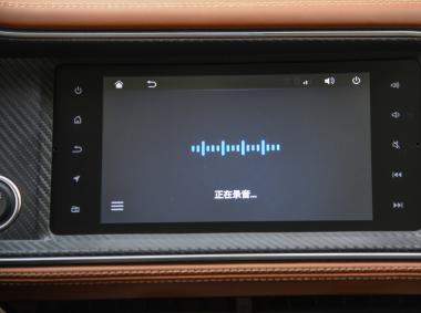 眾泰-T300EV