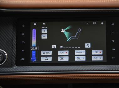 眾泰-T300EV