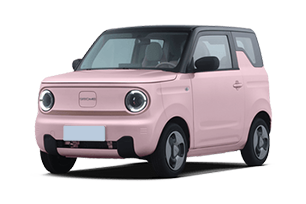 吉利汽車-吉利熊貓mini