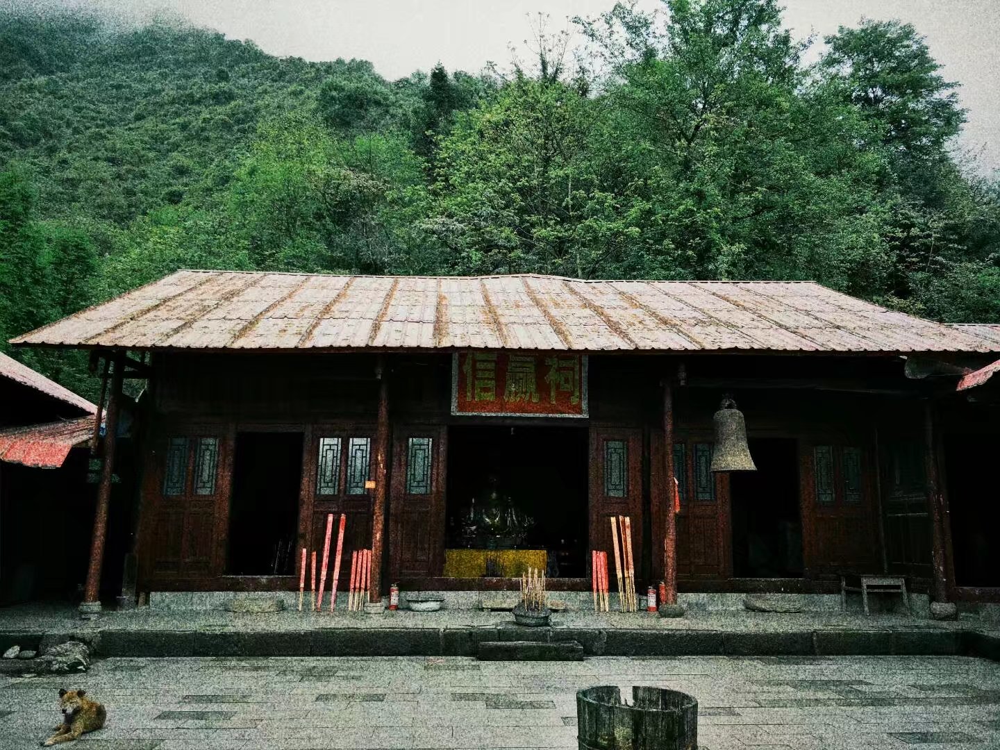 圖片