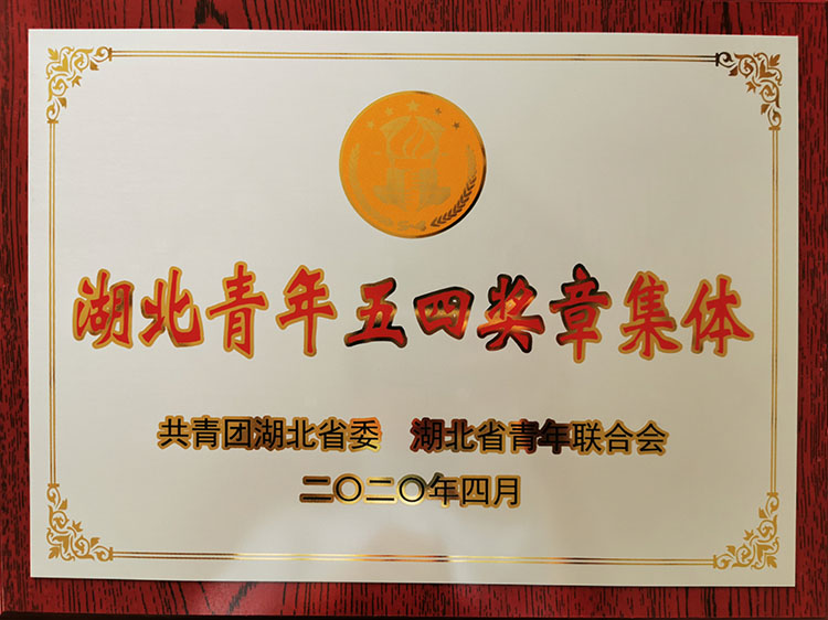 東風公司青年黨員服務隊獲湖北青年五四獎章集體