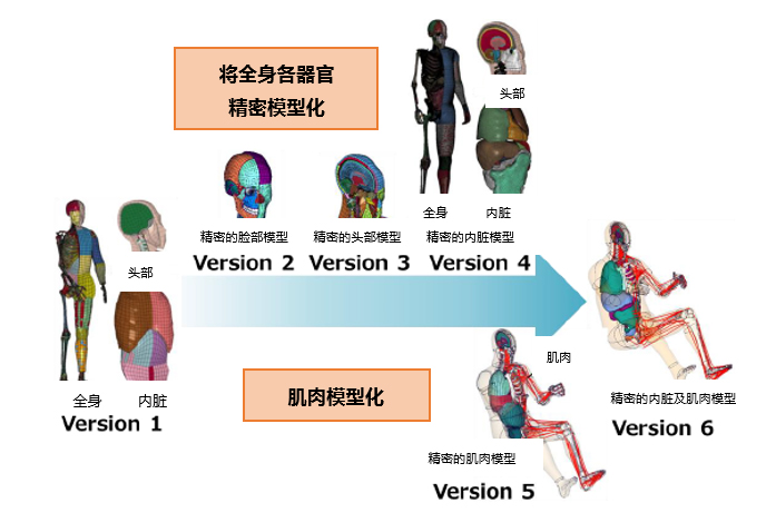 豐田汽車公司將無償公開虛擬人體模型“THUMS” ——通過普及運用車輛碰撞傷害解析，為提升汽車安全性能做貢獻——