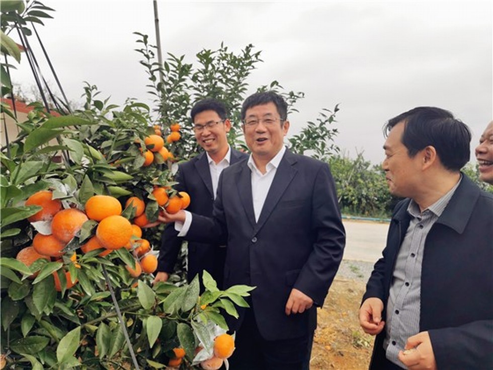 【圖片背后的扶貧故事】趙書良一行赴廣西馬山縣扶貧攻堅調研