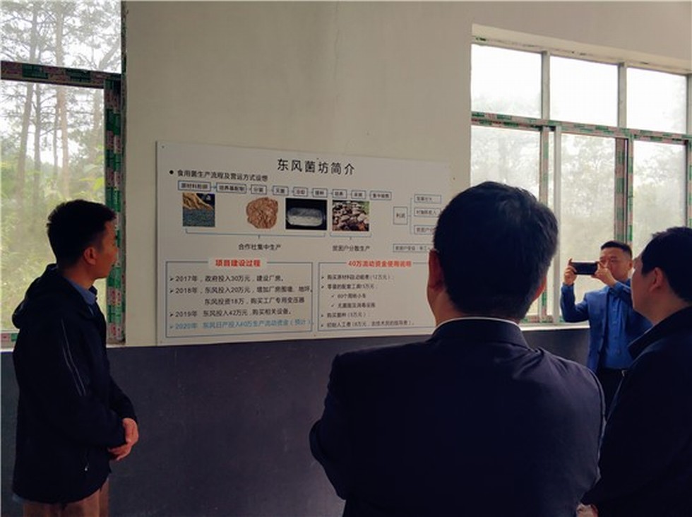 【圖片背后的扶貧故事】趙書良一行赴廣西馬山縣扶貧攻堅調研