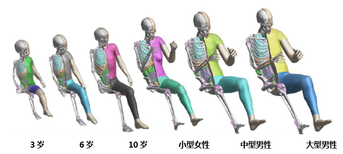 豐田汽車公司將無償公開虛擬人體模型“THUMS” ——通過普及運用車輛碰撞傷害解析，為提升汽車安全性能做貢獻——