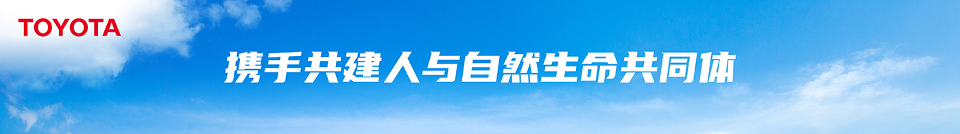 攜手共建人與自然生命共同體 豐田傾力出展第四屆中國國際進口博覽會
