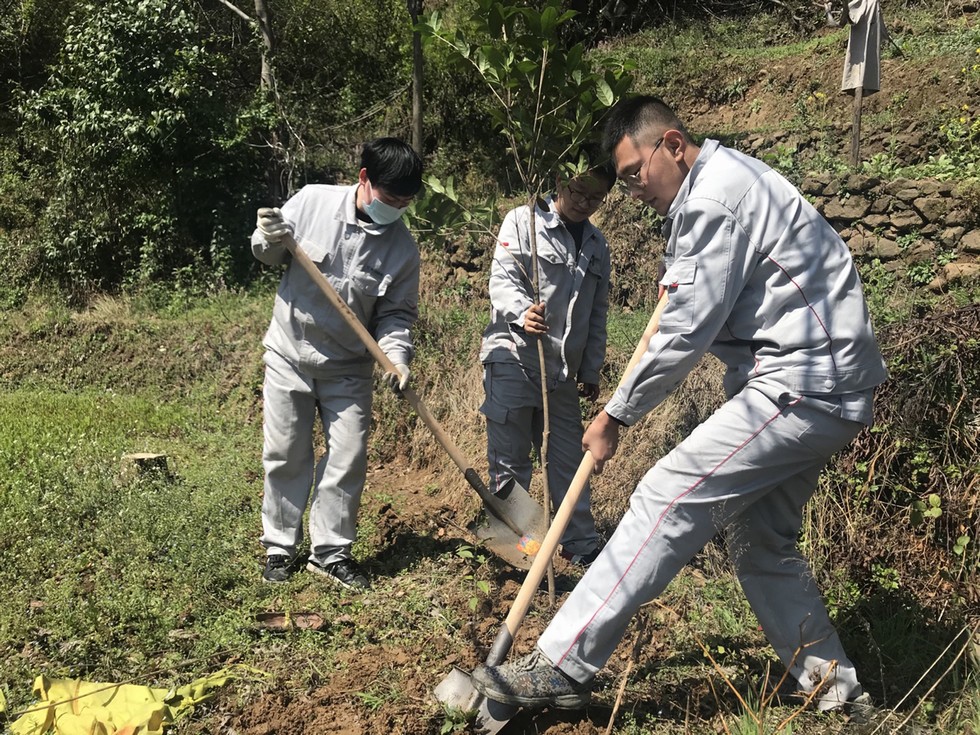 植樹造林 綠化家園