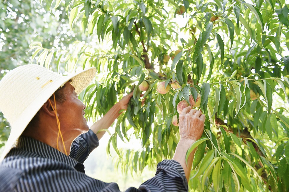 照片告訴你 脫貧東風暖