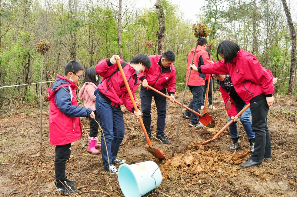 植綠不止 助力碳中和