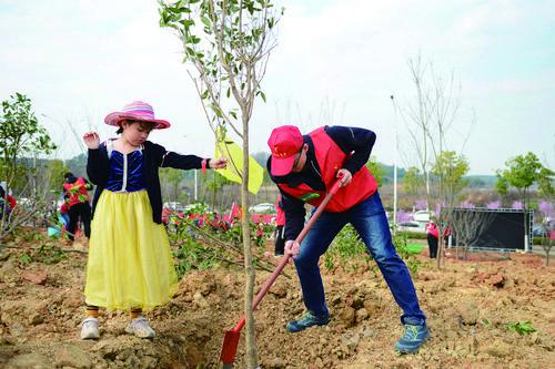 種下一棵樹 守住一片綠