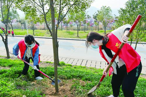 種下一棵樹 守住一片綠