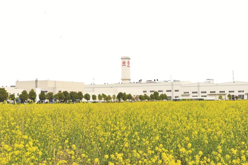 在春天里怒放