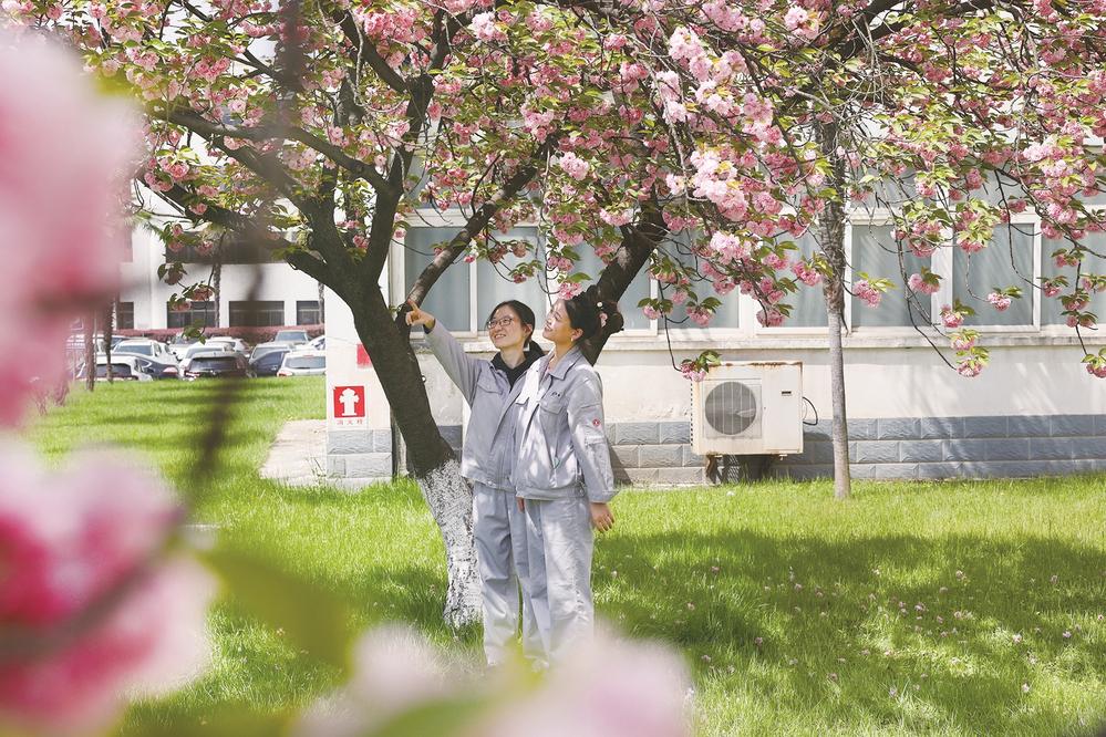 不負春光加速跑