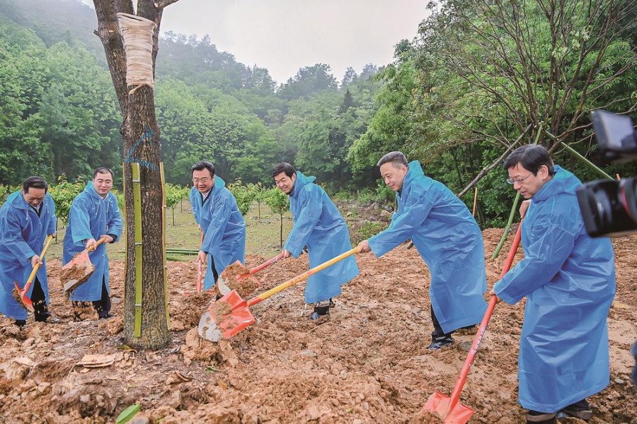 東風(fēng)十堰政企共建青年林