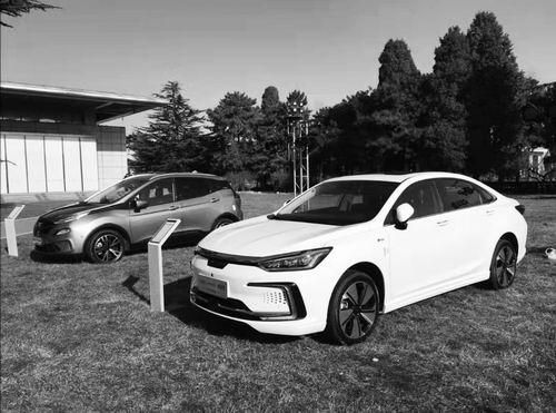 開往“春天”的新能源汽車