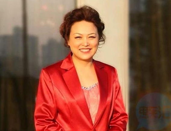 長城汽車王鳳英:鼓勵小型電動車,按耗電量進行梯級補貼