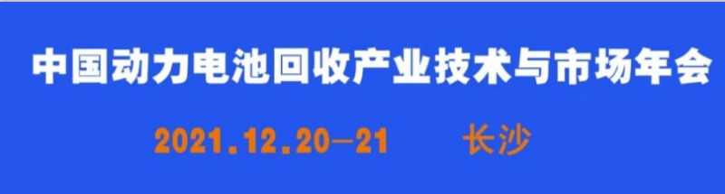 中國電動汽車占領“外國街道”！全球汽車市場看中國！