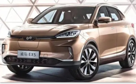 威馬汽車為我國環保貢獻一份力量