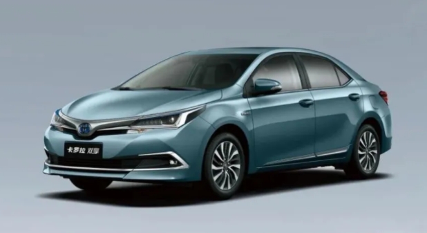 大火的新能源汽車究竟是什么？
