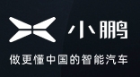 2020年全球電動(dòng)汽車銷量