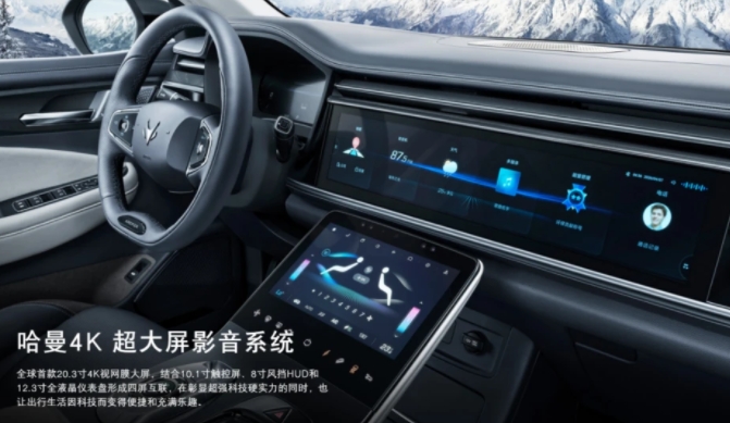 新能源汽車新政策出臺！怎么選擇一款合適的車型呢？