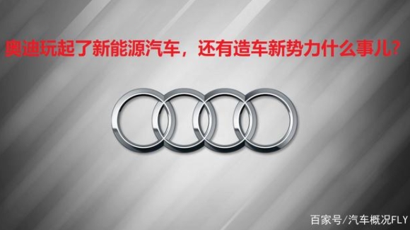 奧迪官宣停止研發(fā)一切新型內(nèi)燃機(jī)后，終于迎來了第一款純電動(dòng)汽車
