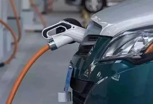 充電樁被占，“綠牌車”無處可停？一城發布新規，讓人拍手叫好
