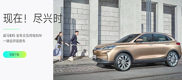 中國新能源汽車品牌