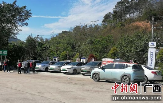 【新春走基層】電動汽車：春節返鄉路上“電量滿格”