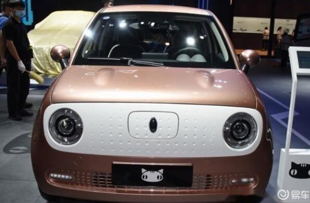十大國(guó)產(chǎn)電動(dòng)汽車(chē)排行榜，國(guó)產(chǎn)電動(dòng)汽車(chē)十大名牌排名