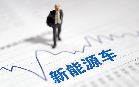 新能源汽車專家電話會議