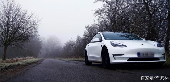 訂單轉手賺7千？特斯拉竟然是2021年最值車型！
