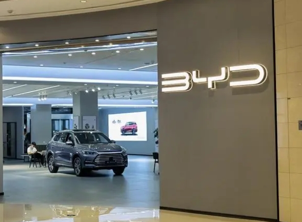 德國1-2月純電動汽車銷量出來啦，第一名實至名歸
