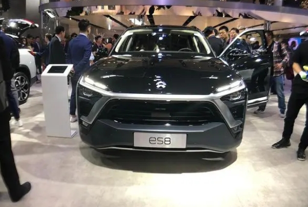 德國1-2月純電動汽車銷量出來啦，第一名實至名歸