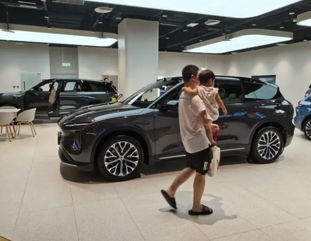 30萬元的新能源汽車成市場新寵