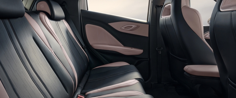 新車速報——海鷗