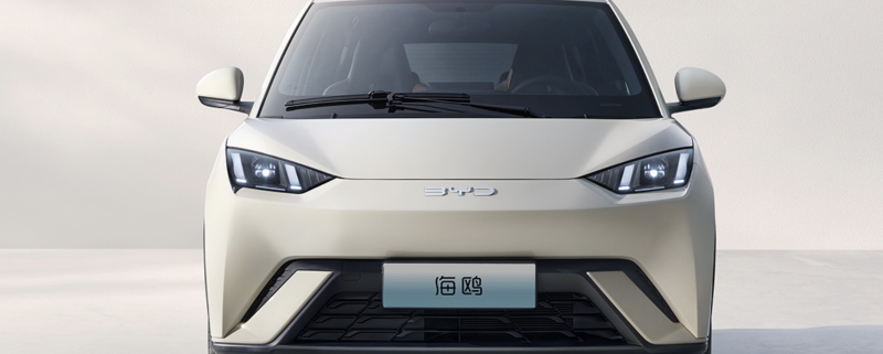 新車速報——海鷗