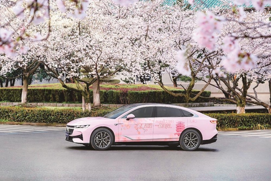 好景配好車 賞櫻駕追光