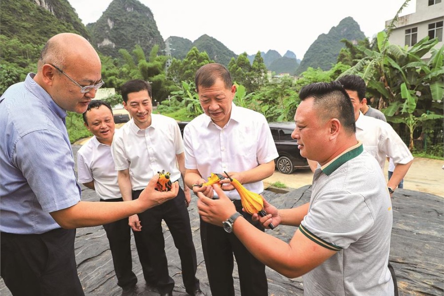 學(xué)好用好“千萬工程”經(jīng)驗(yàn) 推動鄉(xiāng)村振興取得更大成效