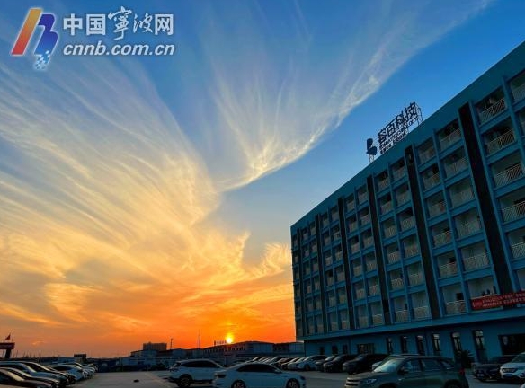 比去年同期增長23.2%！寧波新能源汽車產業跑出加速度