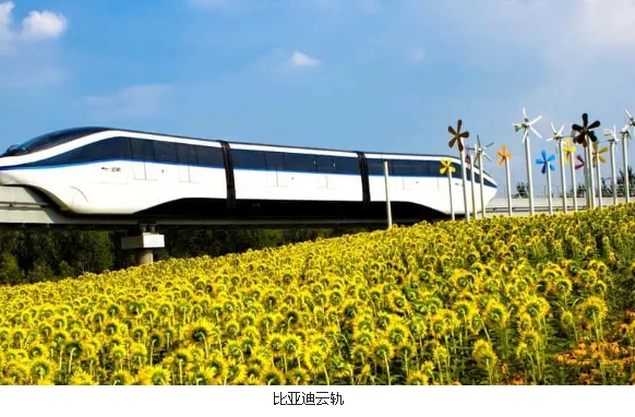 比亞迪如何成為中國領(lǐng)先的電動汽車制造商