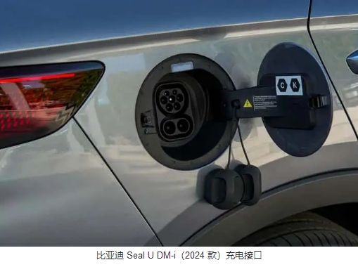 中國如何成為電動汽車領域的領導者（以及現在的情況）