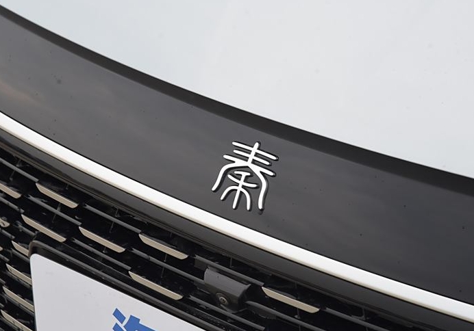 機構：2030年中國電動車品牌1/7能盈利